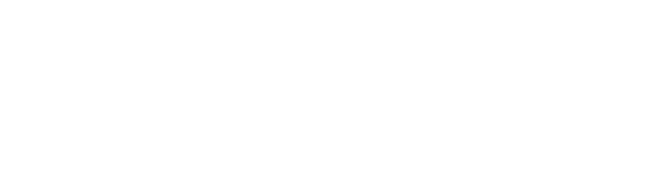 Volgare 